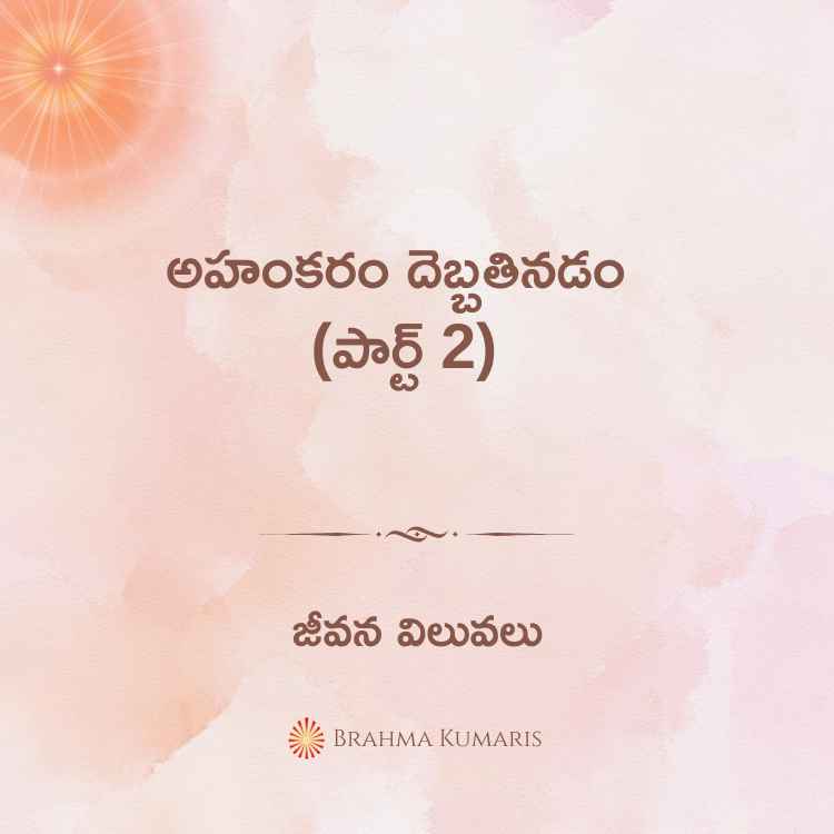 27th november 2024 soul sustenance telugu