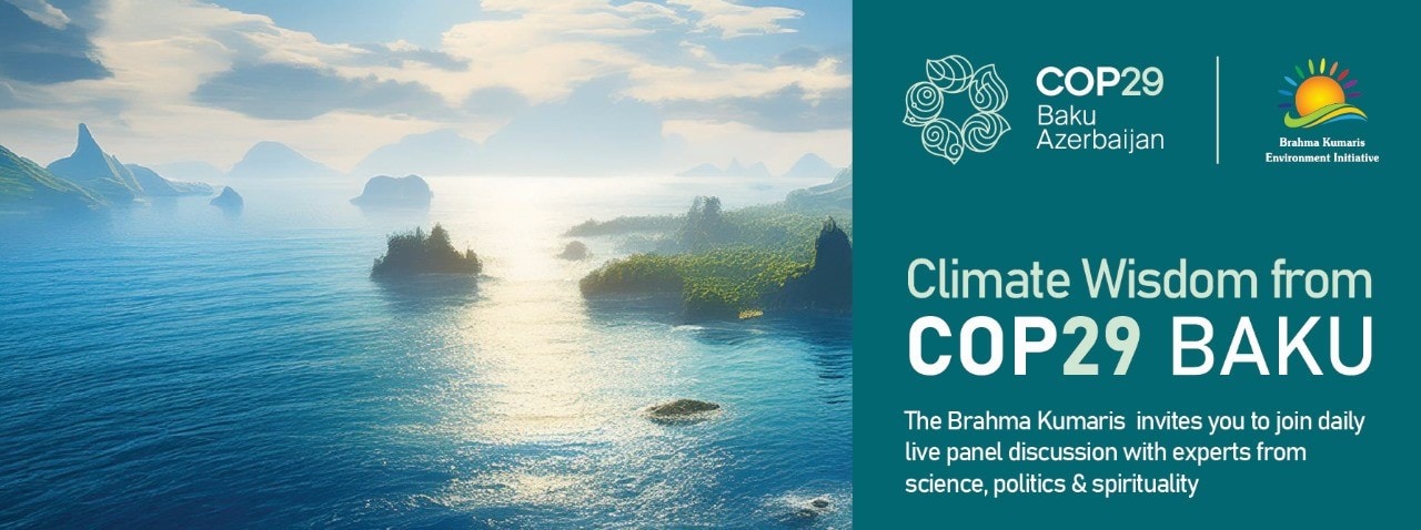 Banner-cop29