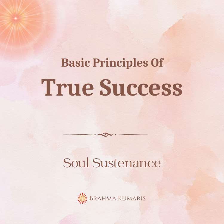 Basic principles of true success