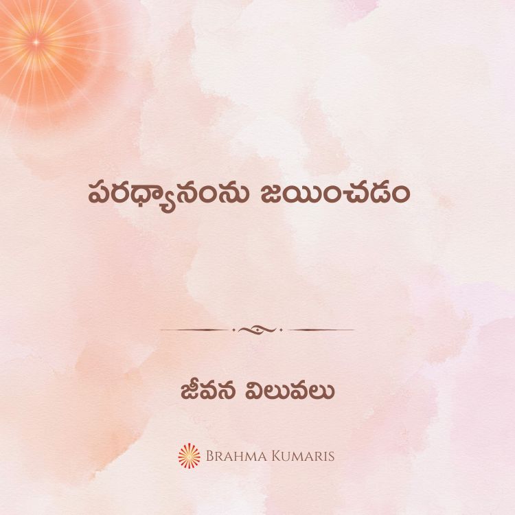 22th dec 2024 soul sustenance telugu