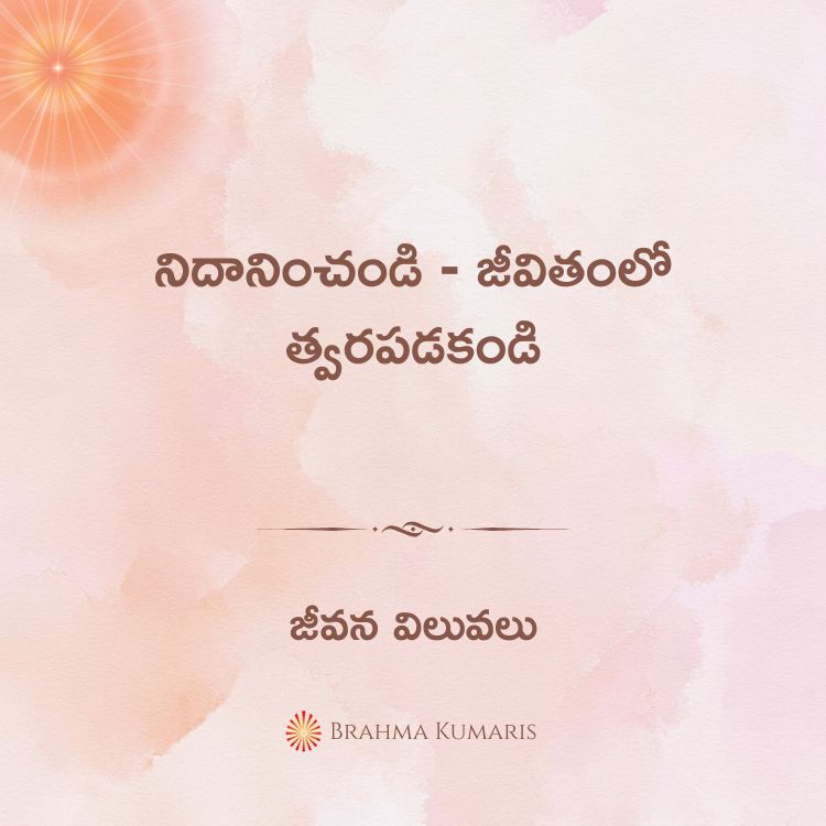 30th dec 2024 soul sustenance telugu