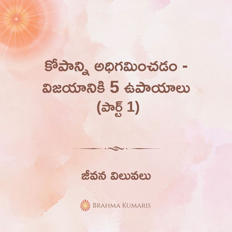 3rd jan 2025 soul sustenance telugu