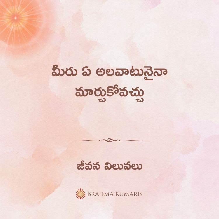 30th jan 2025 soul sustenance telugu