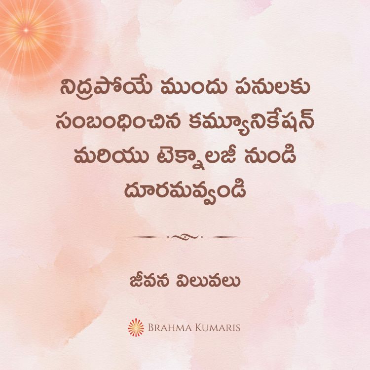 12th feb 2025 soul sustenance telugu