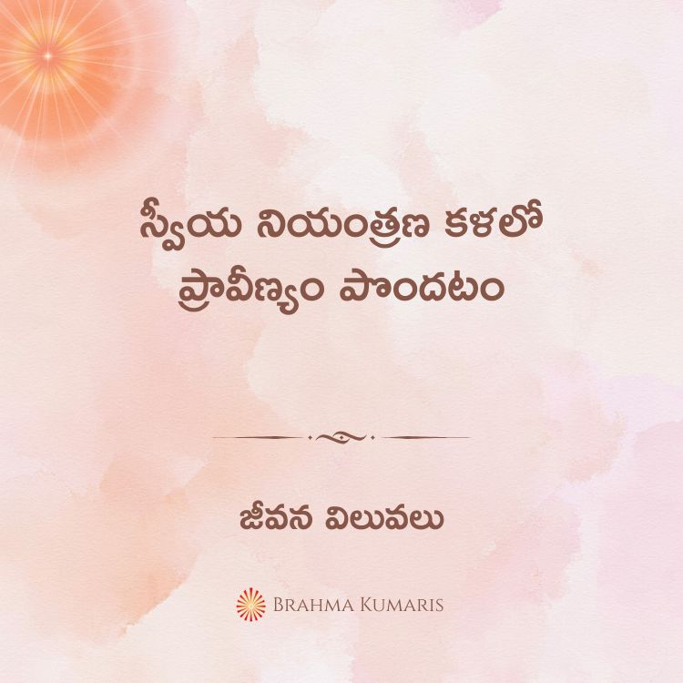 13th feb 2025 soul sustenance telugu