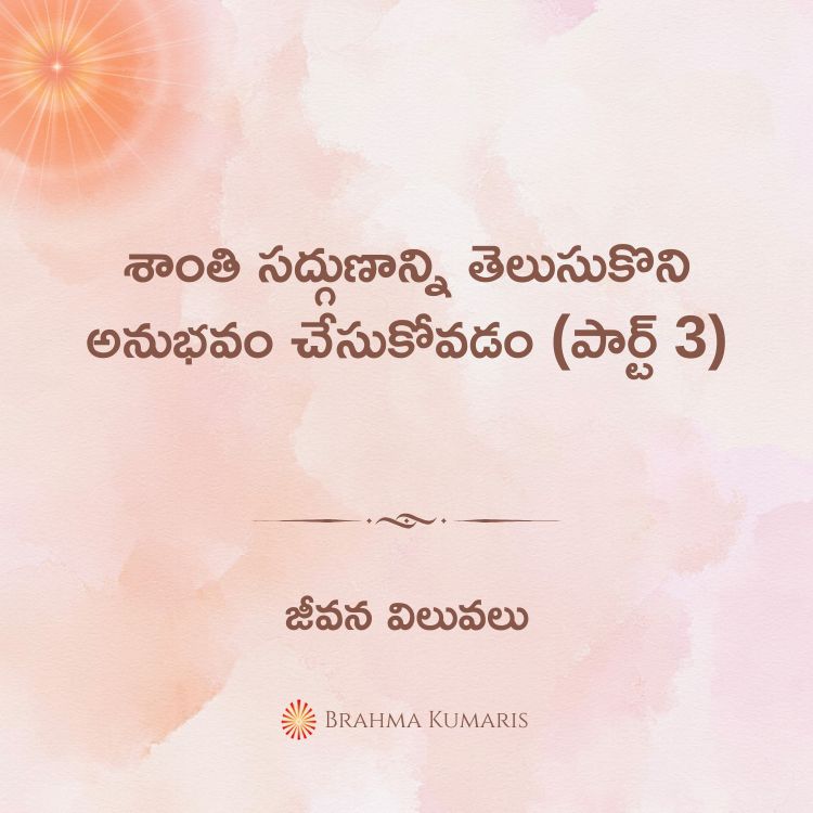 22nd feb 2025 soul sustenance telugu