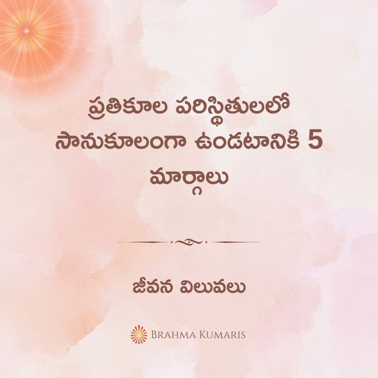 23rd feb 2025 soul sustenance telugu