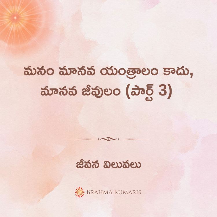 2nd feb 2025 soul sustenance telugu
