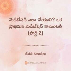 01st jan - జీవన విలువలు 2 20th april 2025 soul sustenance telugu