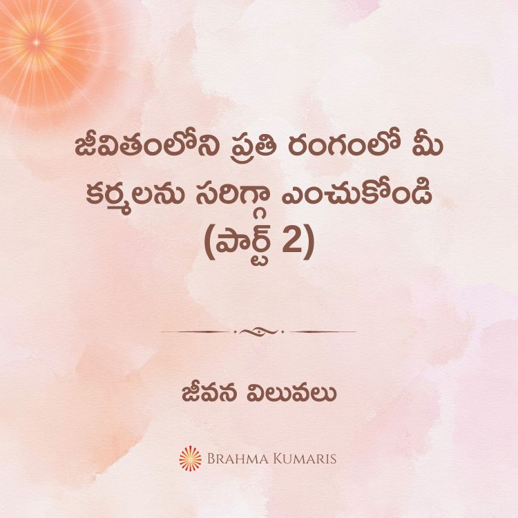 ఆధ్యాత్మిక అవగాహనతో తోబుట్టువుల మధ్య వైరాన్ని అధిగమించడం 2 22nd april 2025 soul sustenance telugu