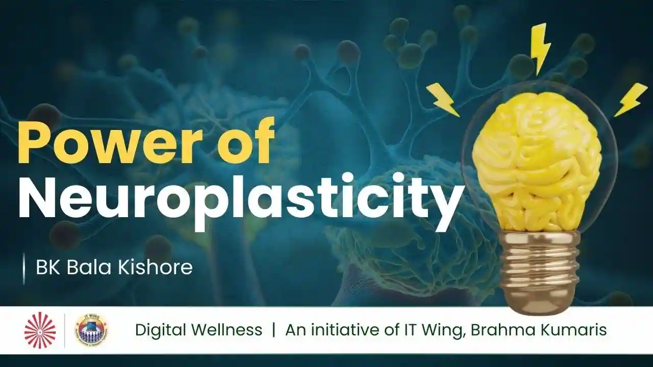 2. Power of neuroplasticity