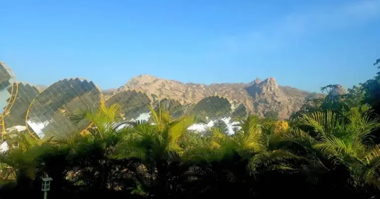 Around the plant, more than 3,000 trees have been planted and organic farming activities have been introduced