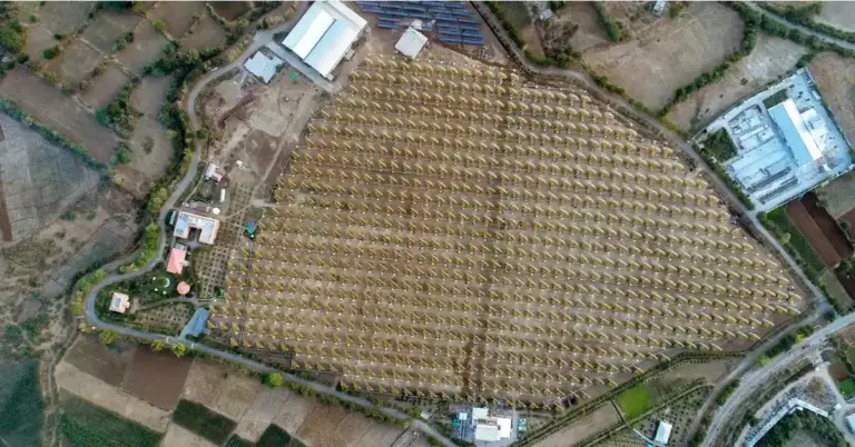 Introduction drone view of plant