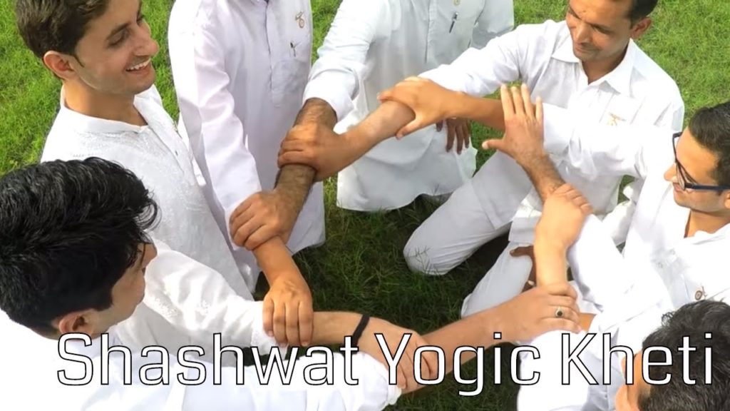 Shashwat yogic kheti | ep 81| sangathan ki shakti | dr. Anand kore | agriculture
