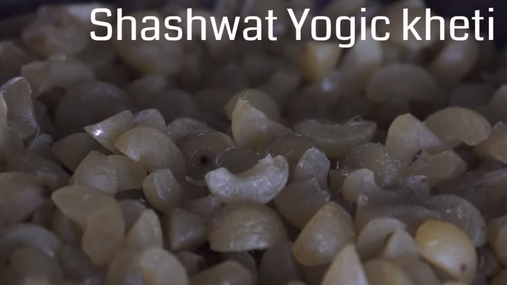 Shashwat yogic kheti | ep 55 | khadya prasanskaran - 02 | dr ramavtar kaushik | agriculture