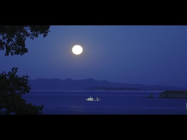 Mere sang sang... | hindi