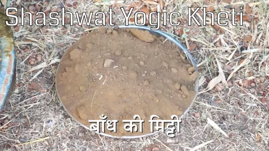 (hindi) social - shashwat yogik kheti 4 Shashwat yogic kheti | ep 14 | sendriya khad ka upyog | bholanath chogule | agriculture