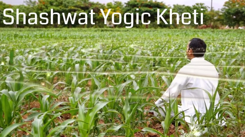 Shashwat yogic kheti | ep 71 | yog se karmo mein kushalta | bk prachi | agriculture