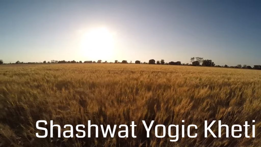 Shashwat yogic kheti | ep 88 | fasal utpad ka vikray kaushal | mr. Bupendra chipa