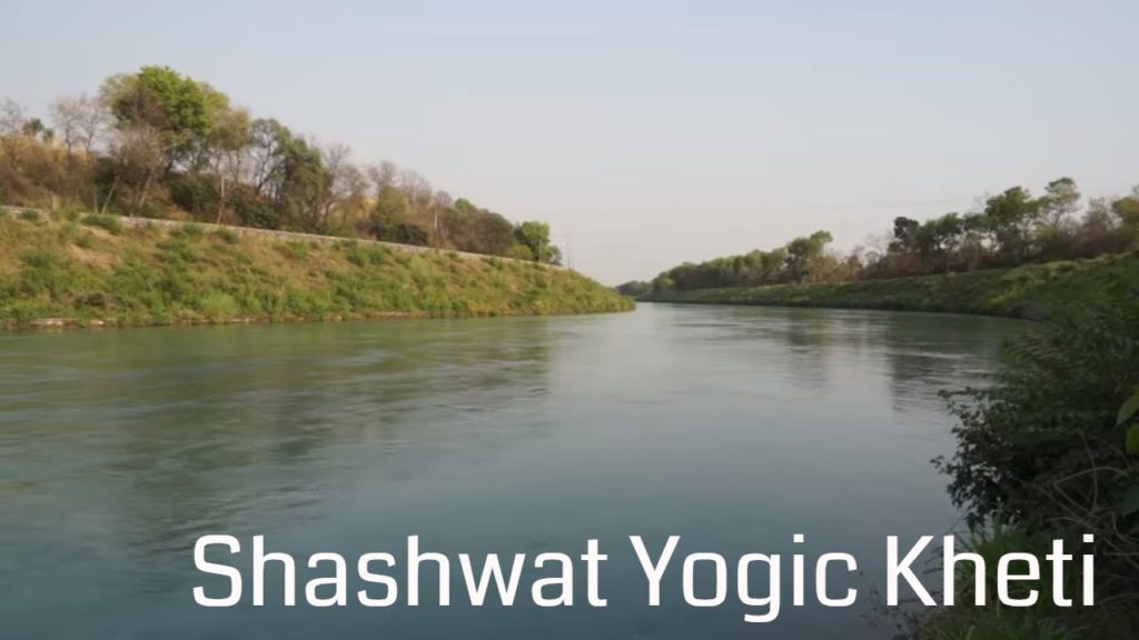 (hindi) social - shashwat yogik kheti 3 brahma kumaris | official Shashwat yogic kheti | ep 80 | sookha prabandhan -(dr anand kore) | agriculture