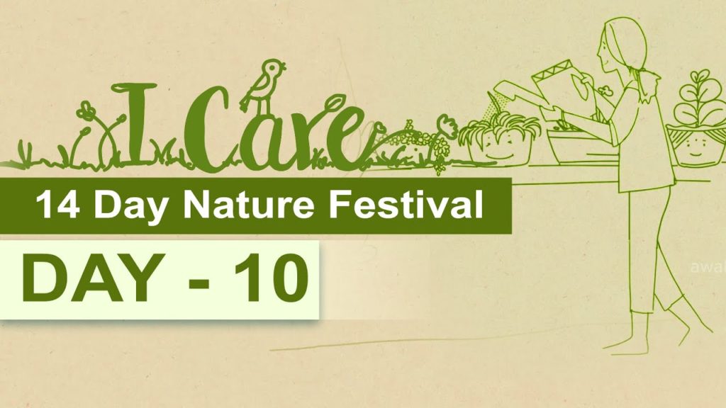Icare day-10 | 14-day nature festival "i care"