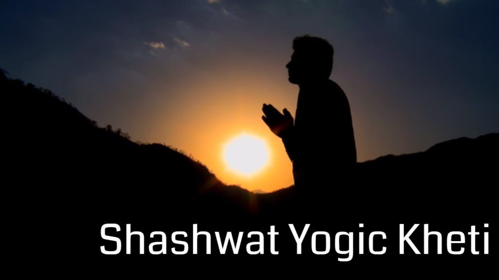 Shashwat yogic kheti | ep 42 | amritwela ka mahatva | bk raju | agriculture