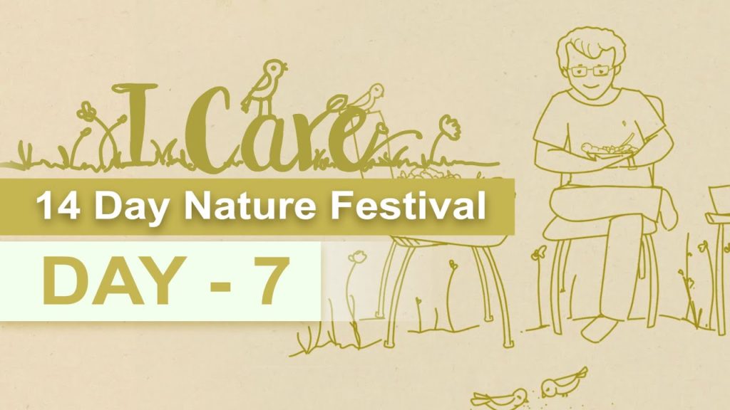 Icare day-7 | 14-day nature festival "i care"