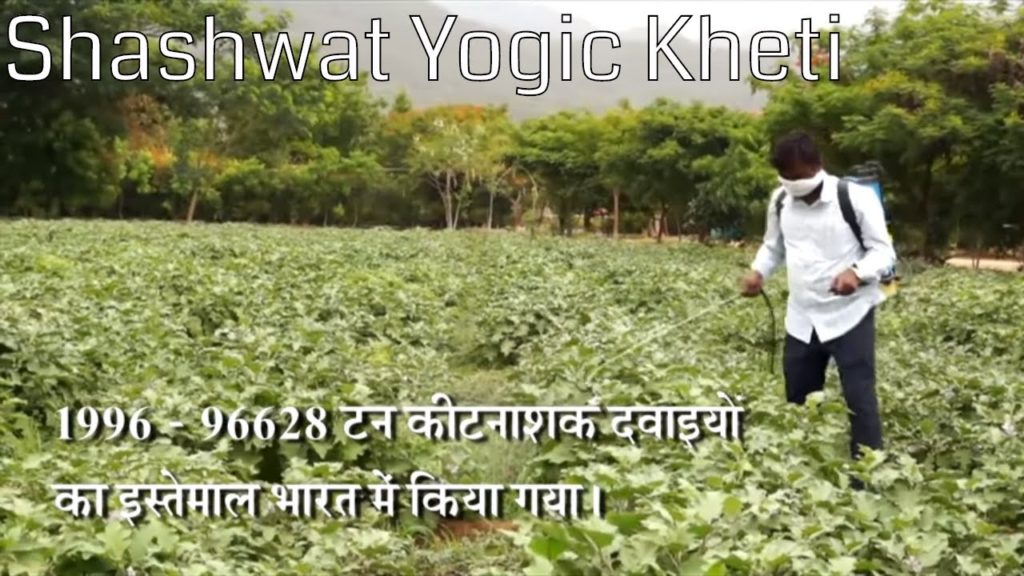 Shashwat yogic kheti | ep - 76 | vyadhi rahit samaj - gbk rao | agriculture