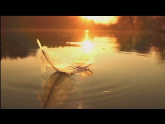 (hindi) nayi soch naya vishwas 7 brahma kumaris | official Nztjwmrwa5a - brahma kumaris | official