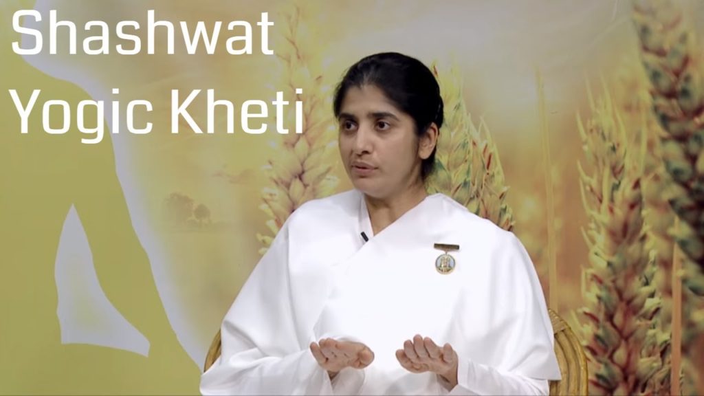 Shashwat yogic kheti | ep 52 | mann ki stithi | bk shivani | agriculture