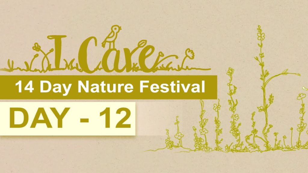 Icare day-12 | 14-day nature festival "i care"