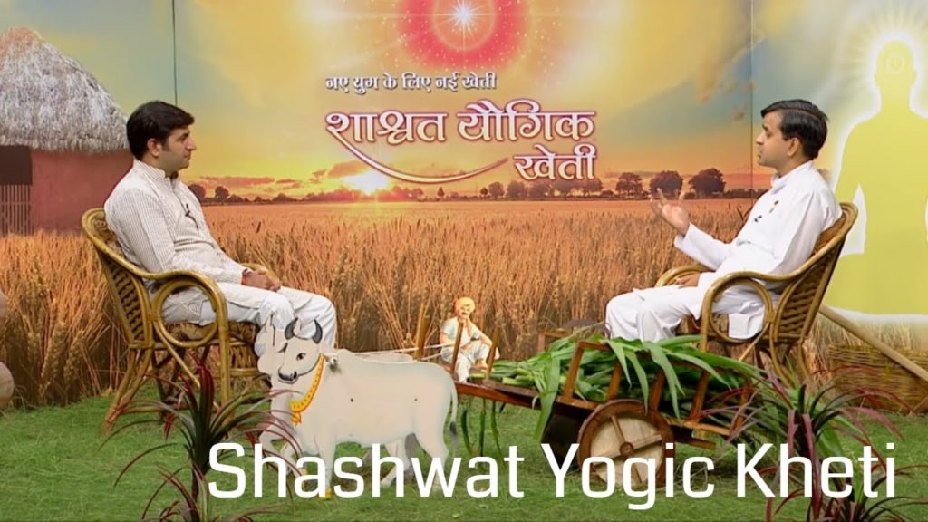 Shashwat yogic kheti | ep 63 | krodh mukta jeevan 3 | prof onkarchand | agriculture