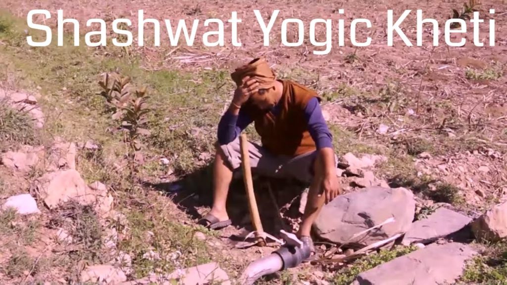 Shashwat yogic kheti | ep 06 | shashwat yogik kheti ka udhbav | bk manisha | agriculture