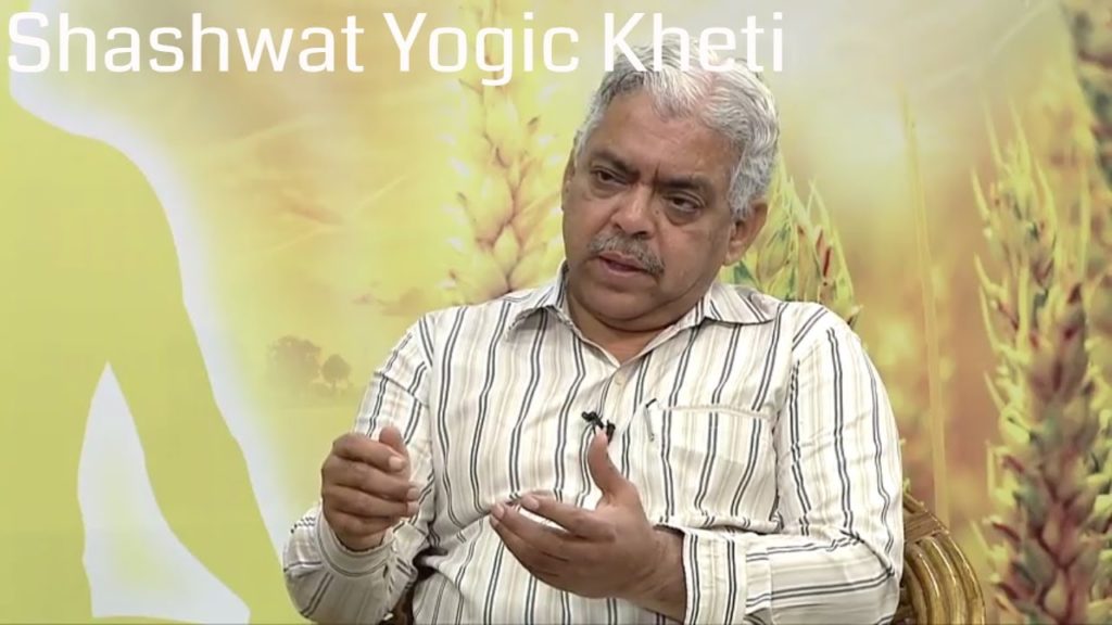 (hindi) social - shashwat yogik kheti 5 Shashwat yogic kheti | ep 99 | nisarga sampada prabandhan | dr. Sharad kale | agriculture