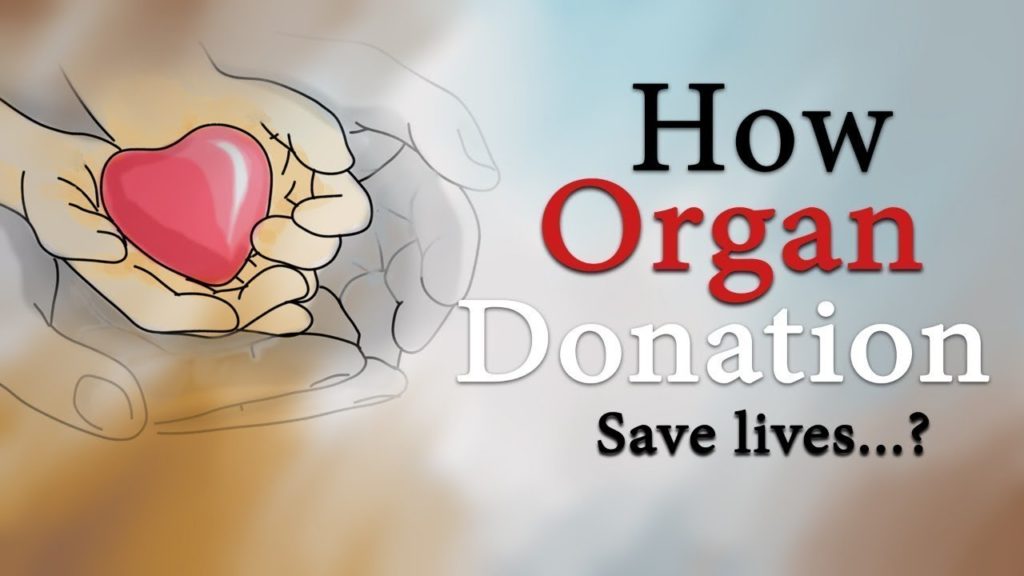 How Organ Donation Can Save Lives? - True Story