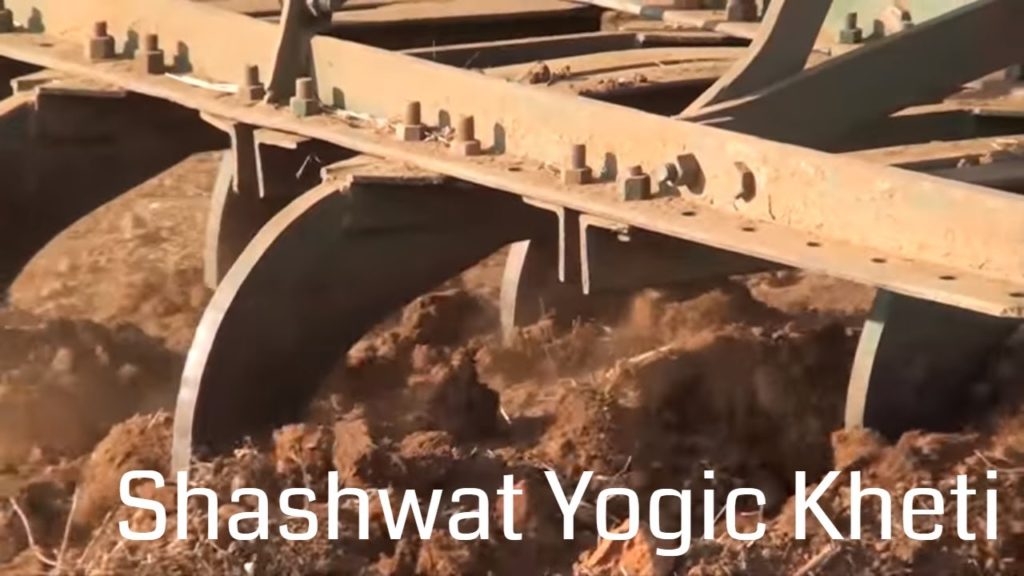 (hindi) social - shashwat yogik kheti 1 Shashwat yogic kheti | ep 51 | shashwat yogic kheti ki vidhi | bk jignesh | agriculture